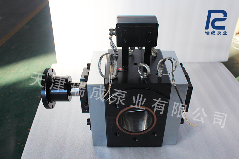 瑞成熔体泵