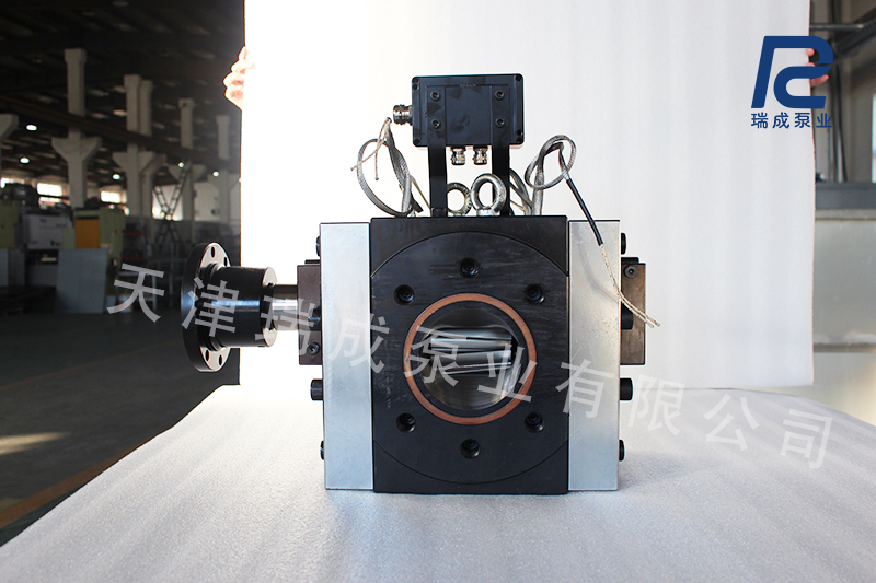 瑞成熔体泵